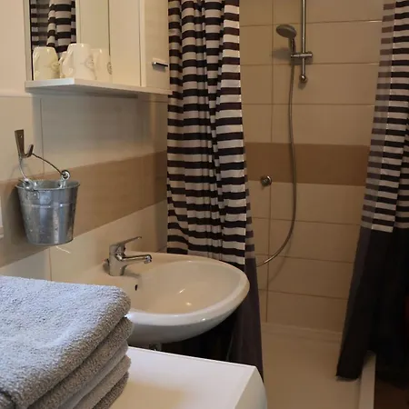 House Paisley Dream *